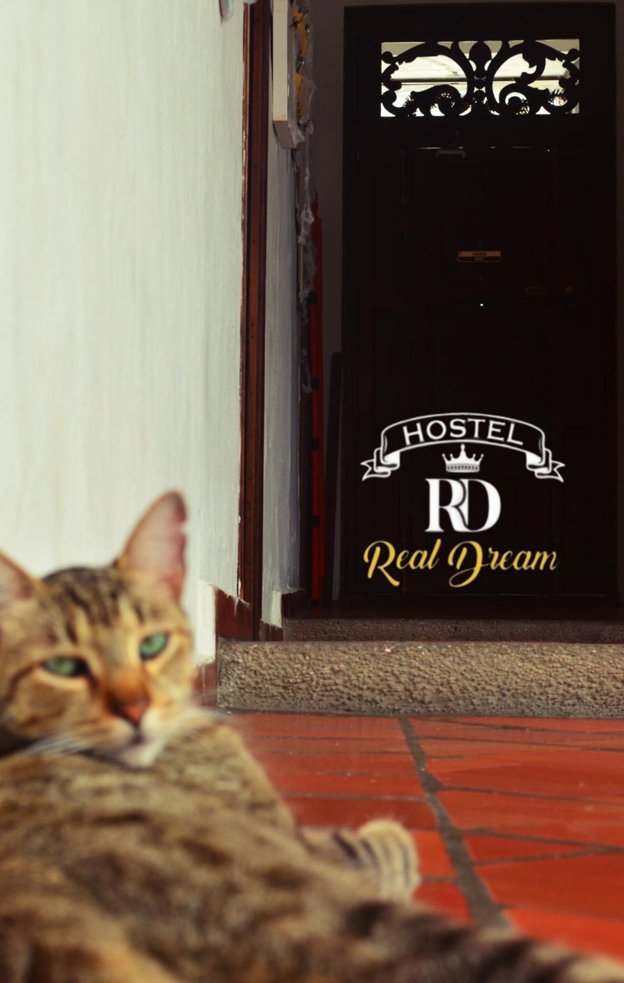Real Dream Hostel San Gil Bagian luar foto